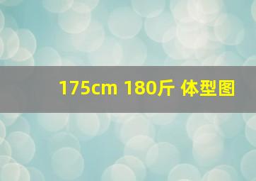 175cm 180斤 体型图